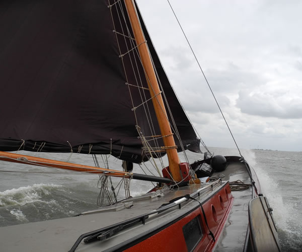 dankbaarheid De Dankbaarheid in ruig weer